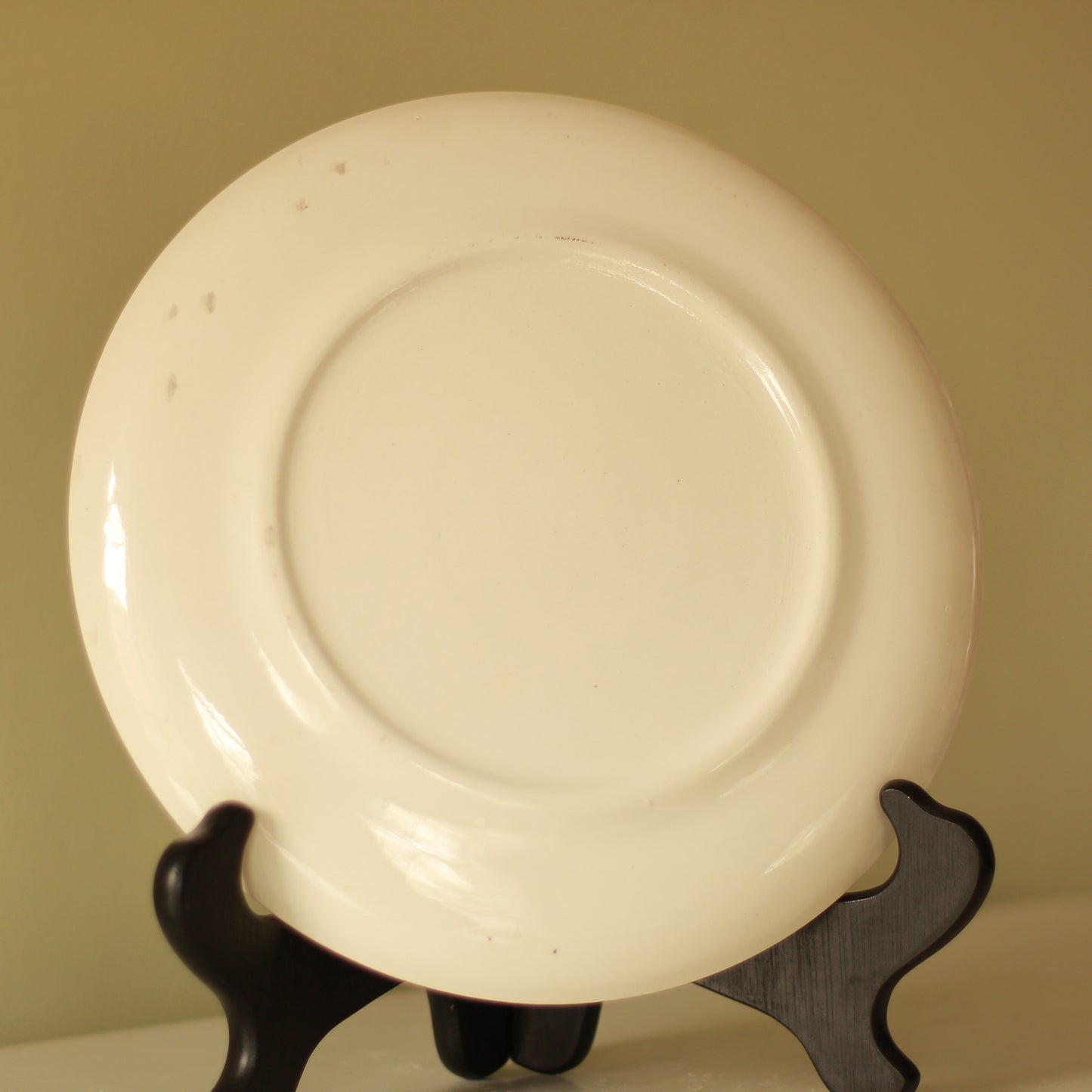 Vintage Arizona Souvenir Plate