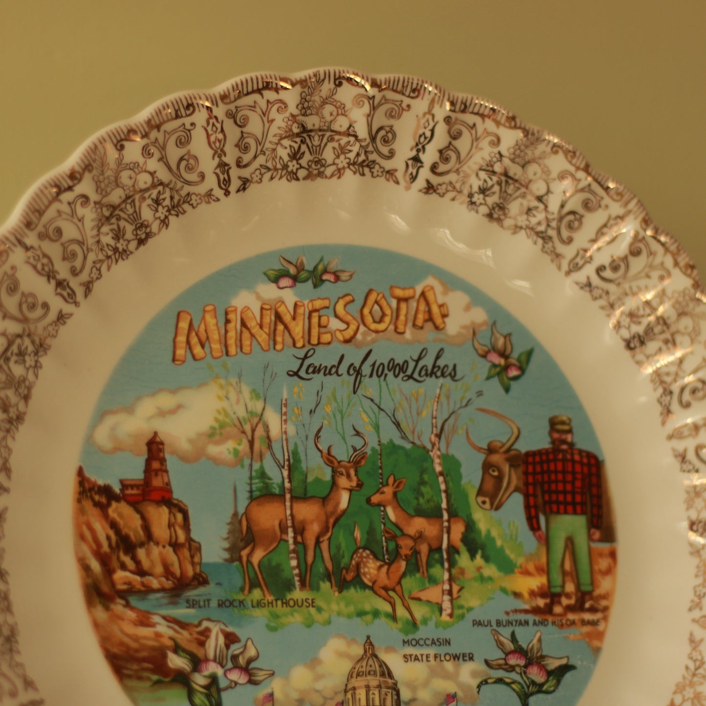 Vintage Minnesota Souvenir Plate