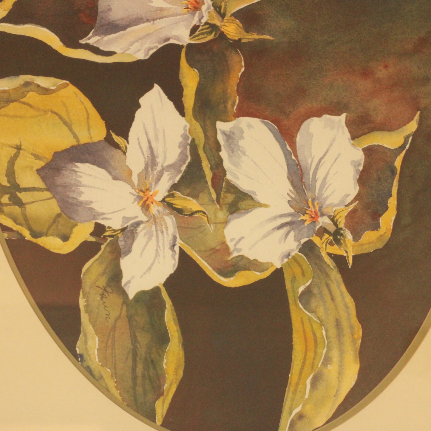 Vintage Trillium Flowers Watercolor by Fawn