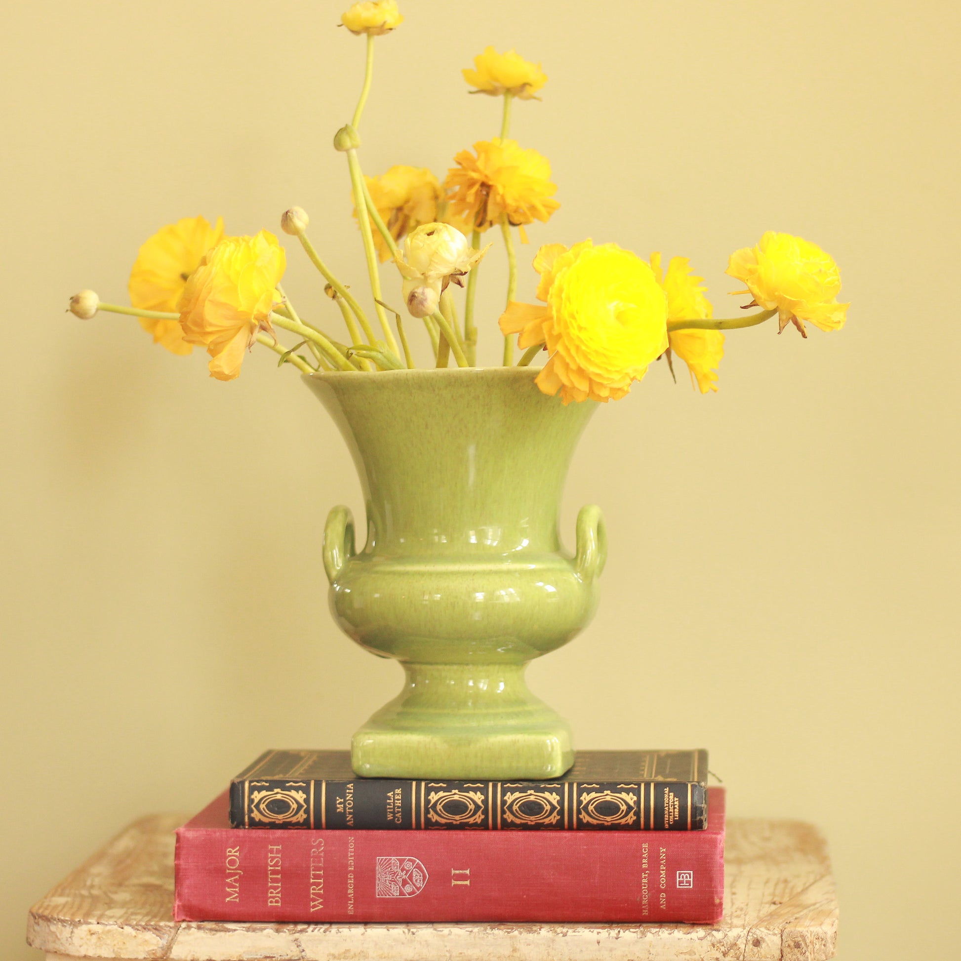 Vintage Red Wing 871 Urn Shaped Vase