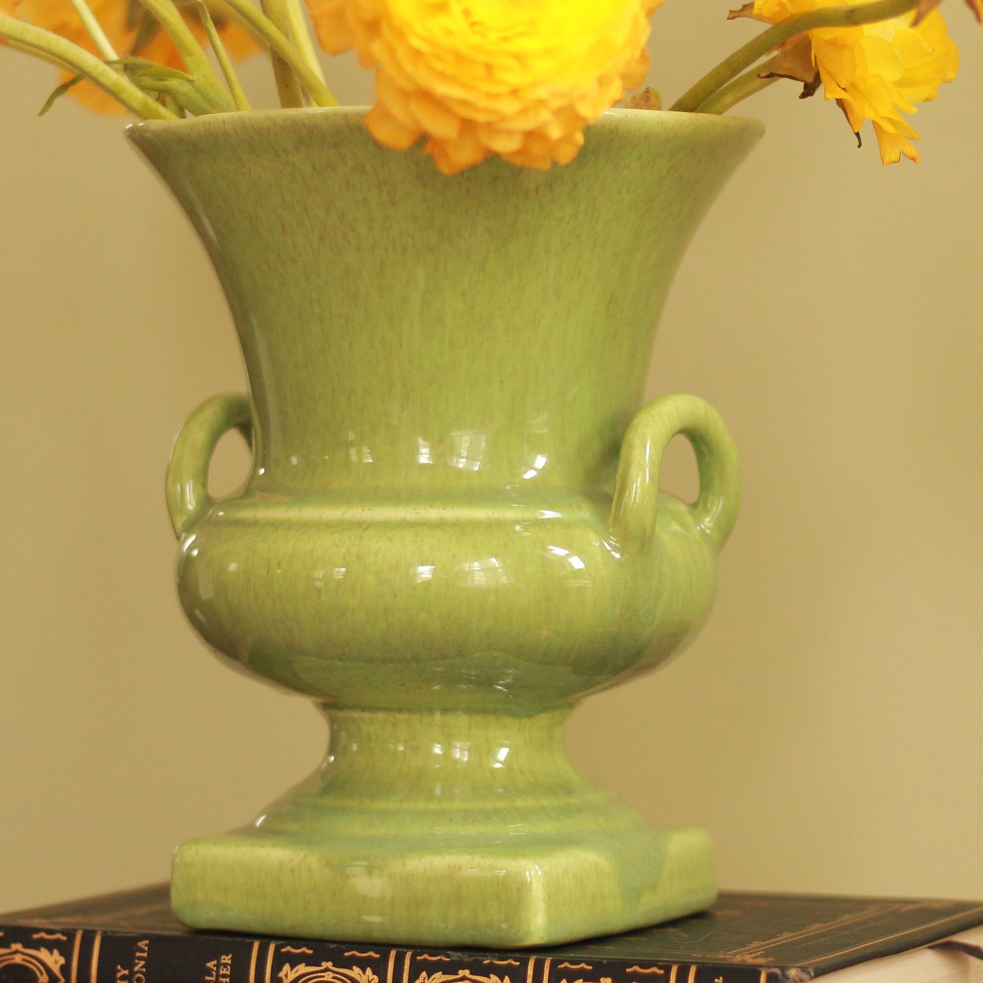 Vintage Red Wing 871 Urn Shaped Vase