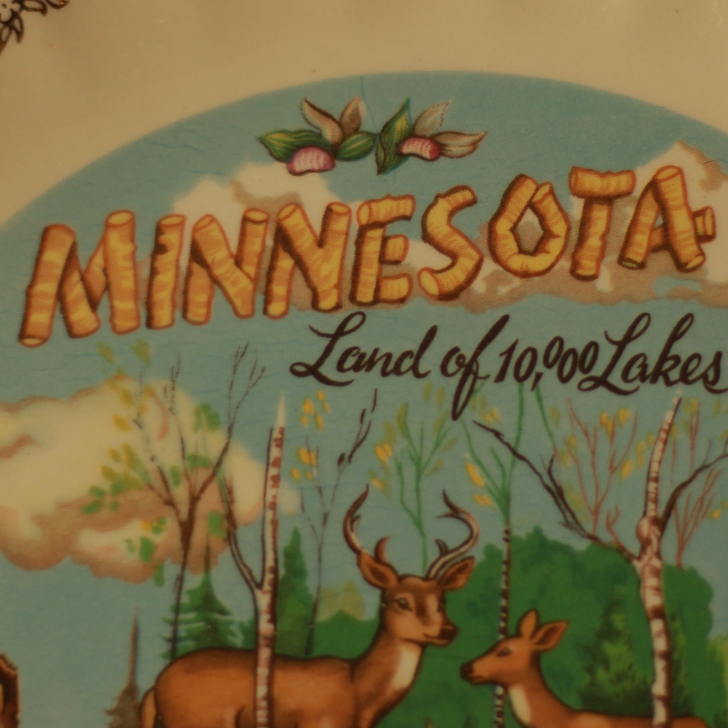 Vintage Minnesota Souvenir Plate